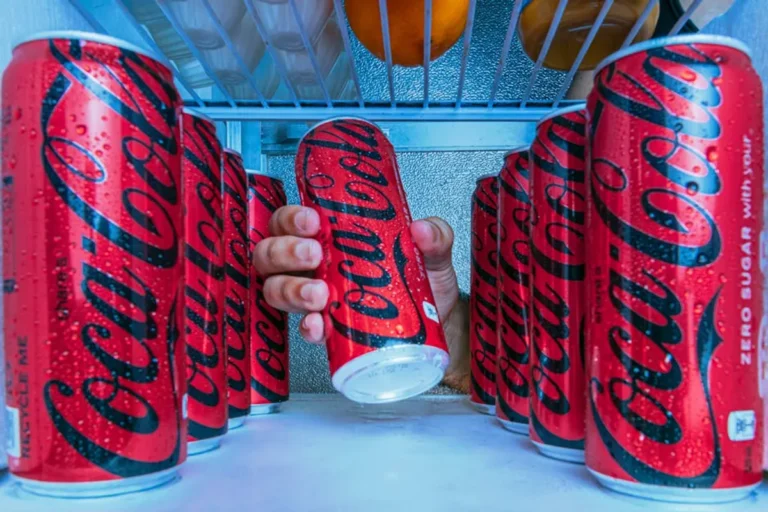 Best beverage fridge: Menu, Prices, Guide, and What to Try