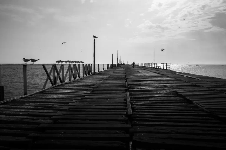The Boardwalk as Wooden Public Infrastructure: An Architectural and Engineering History of the Most-Photographed Pavement in America