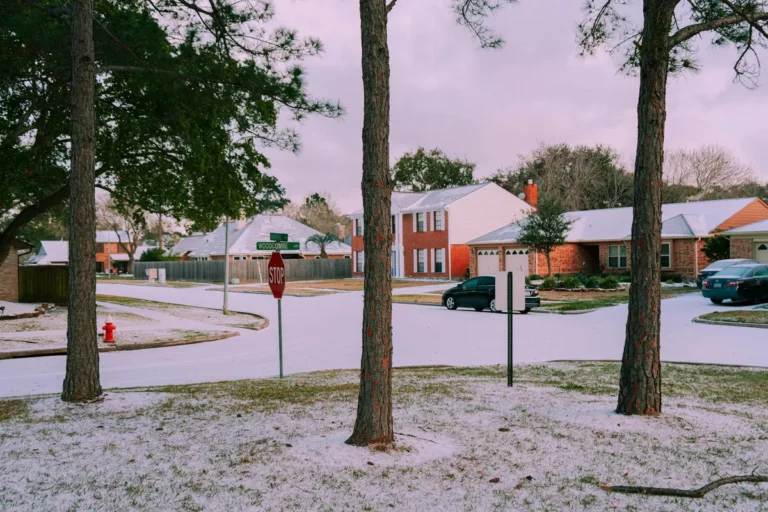 The Year-Round Population: Demographics, Continuity, and the Community That Lives Here in February